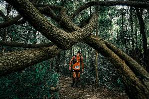 BIB: 
                            <button type="button" onclick="openModal(25664337)" class="btn btn-primary btn-sm float-right btn-popup" data-toggle="modal" data-target=".modal-high-quality">
                        <i class="fas fa-shopping-cart"></i> Add to Cart
                    </button>
                                            <button type="button" onclick="isThisMe(25664337, true)" class="btn btn-success btn-sm float-right btn-popup btn-isme hidden" data-toggle="tooltip" data-placement="bottom" title="นี่คือรูปของคุณใช่ไหม คลิกที่นี่เพื่อเอาเข้าอัลบั้ม">
                        <i class="fas fa-plus"></i> Add to album
                    </button>
                    <button type="button" onclick="isThisMe(25664337, false)" class="btn btn-warning btn-sm float-right btn-popup btn-isnotme hidden">
                        <i class="fas fa-ban"></i> Remove from album
                    </button>